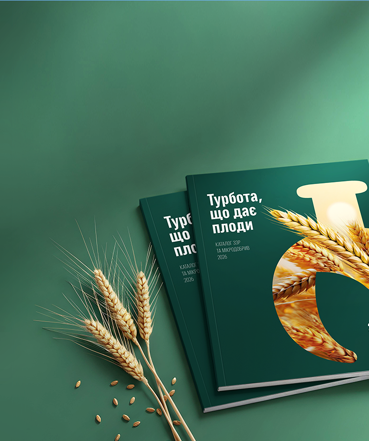 Головна – Зображення 155