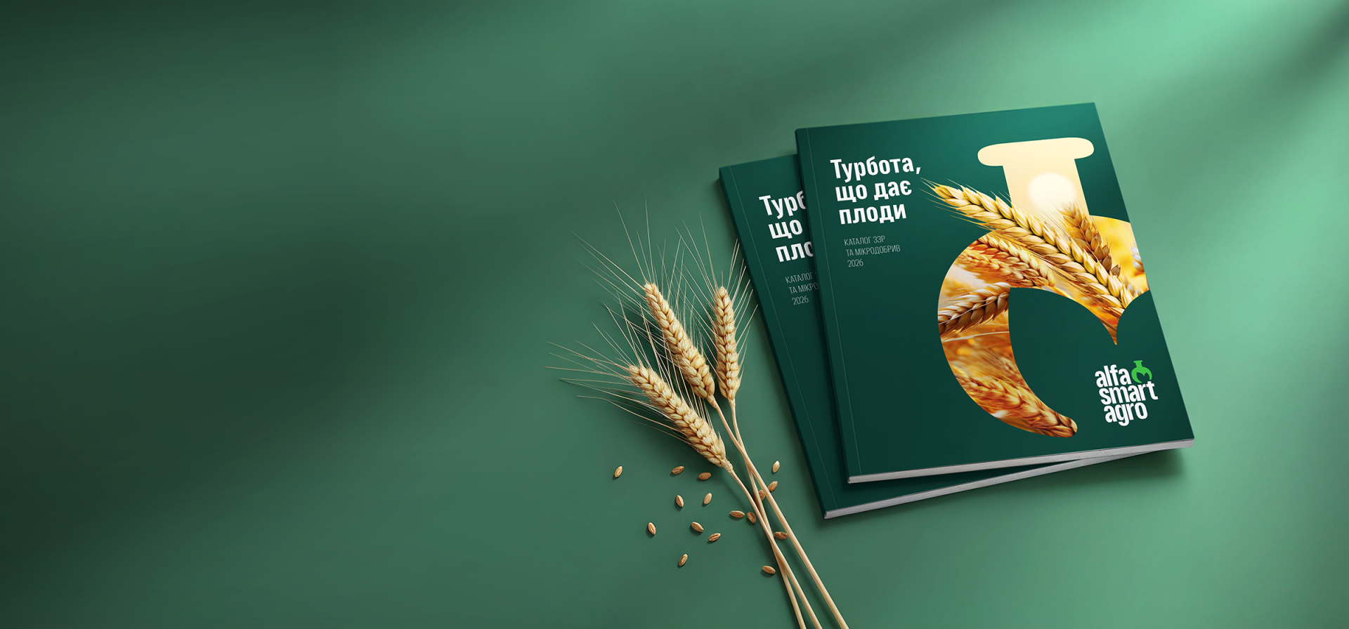 Головна – Зображення 153