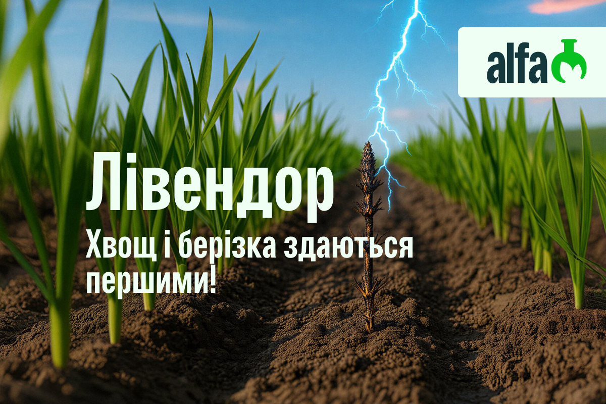 Оновлений каталог засобів захисту рослин та мікродобрив 2026 – Зображення 38