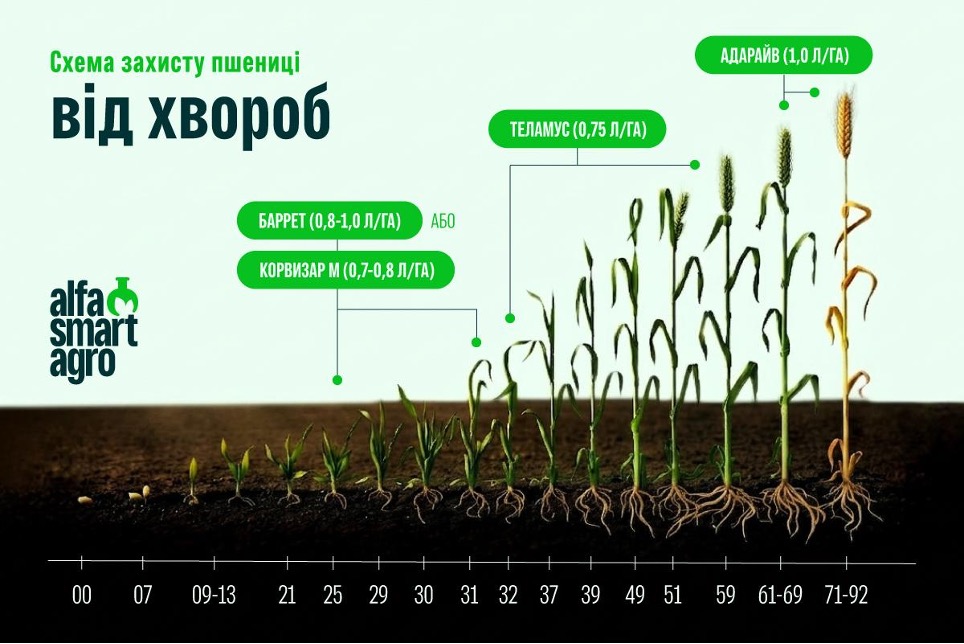 Комплексний контроль хвороб і шкідників зернових упродовж вегетації – Зображення 73