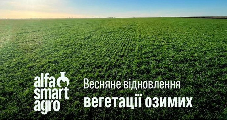 Весняне відновлення вегетації озимих: як допомогти рослинам швидко стартувати – Зображення 52