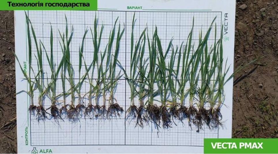 Виробництво мікродобрив: як сировина і технологія формують результат у полі – Зображення 60
