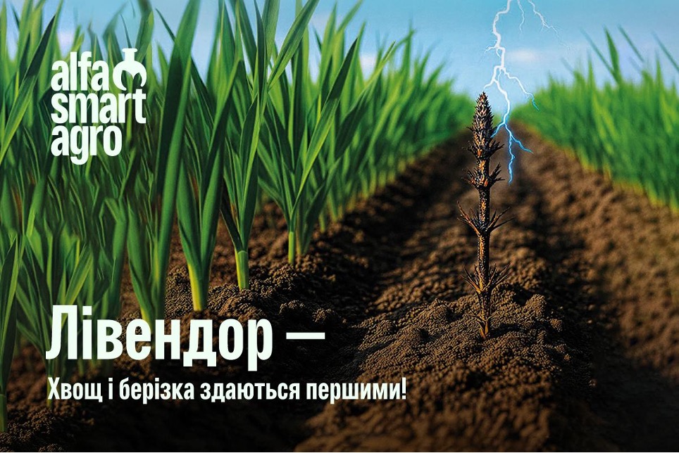 Нові рішення alfa smart agro для стабільного захисту посівів – Зображення 57