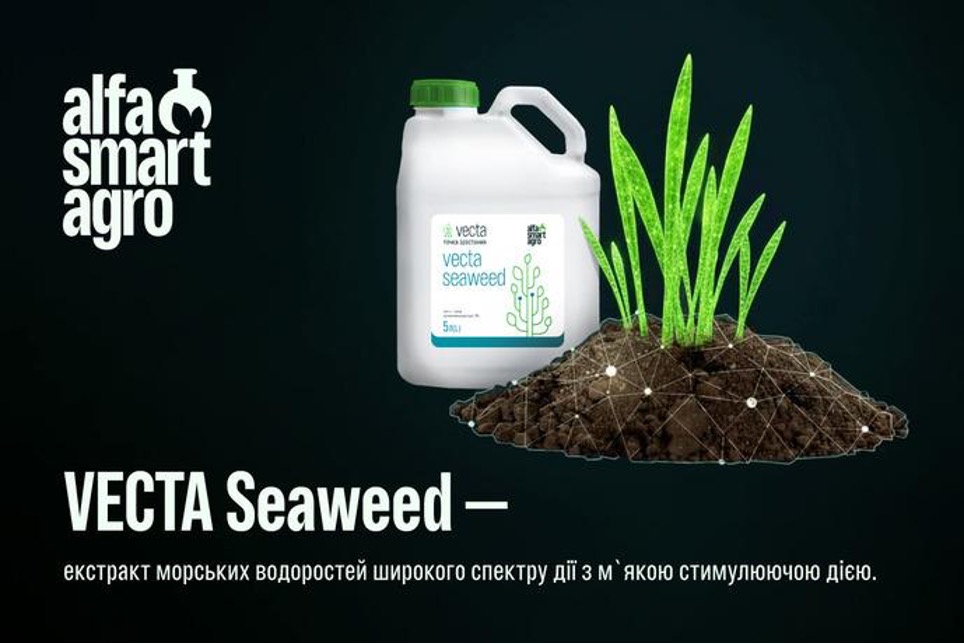 Весняне відновлення вегетації озимих: як допомогти рослинам швидко стартувати – Зображення 56