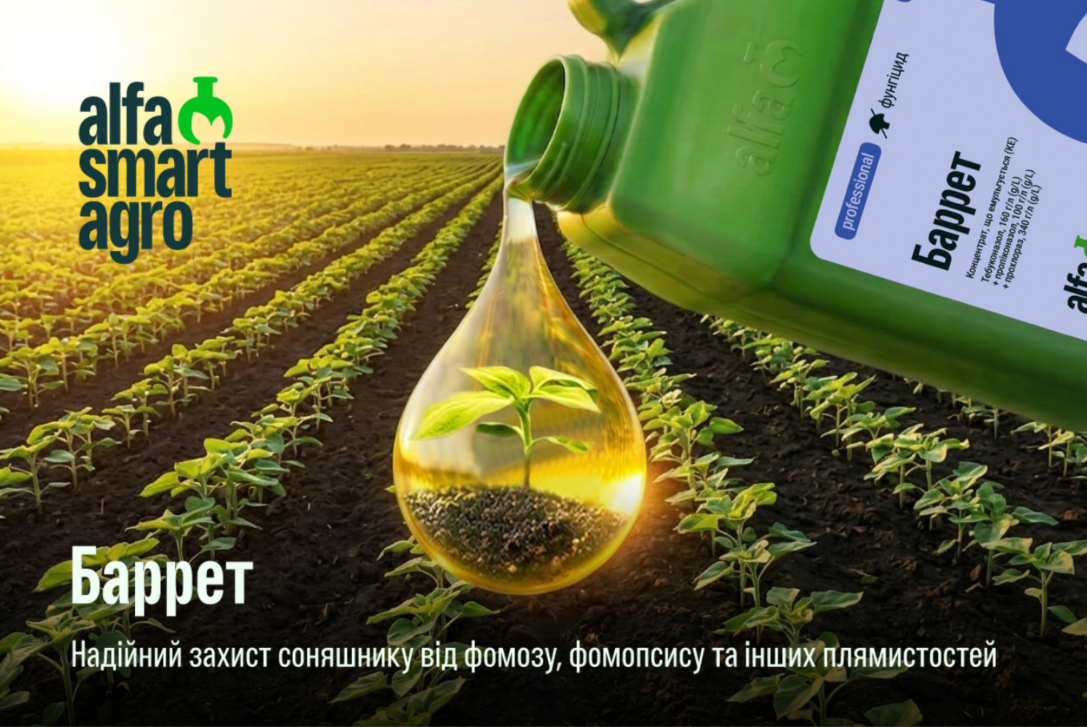 Захист соняшнику від хвороб — основа врожаю. – Зображення 63