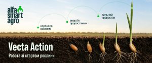 Обробка насіння: сильний урожай починається ще до появи сходів – Зображення 63