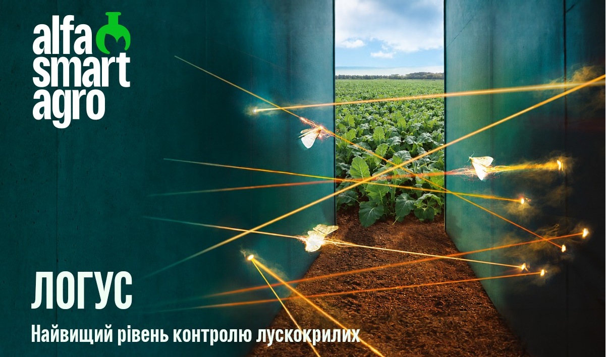 Ріпак: захист і рістрегуляція – Зображення 78